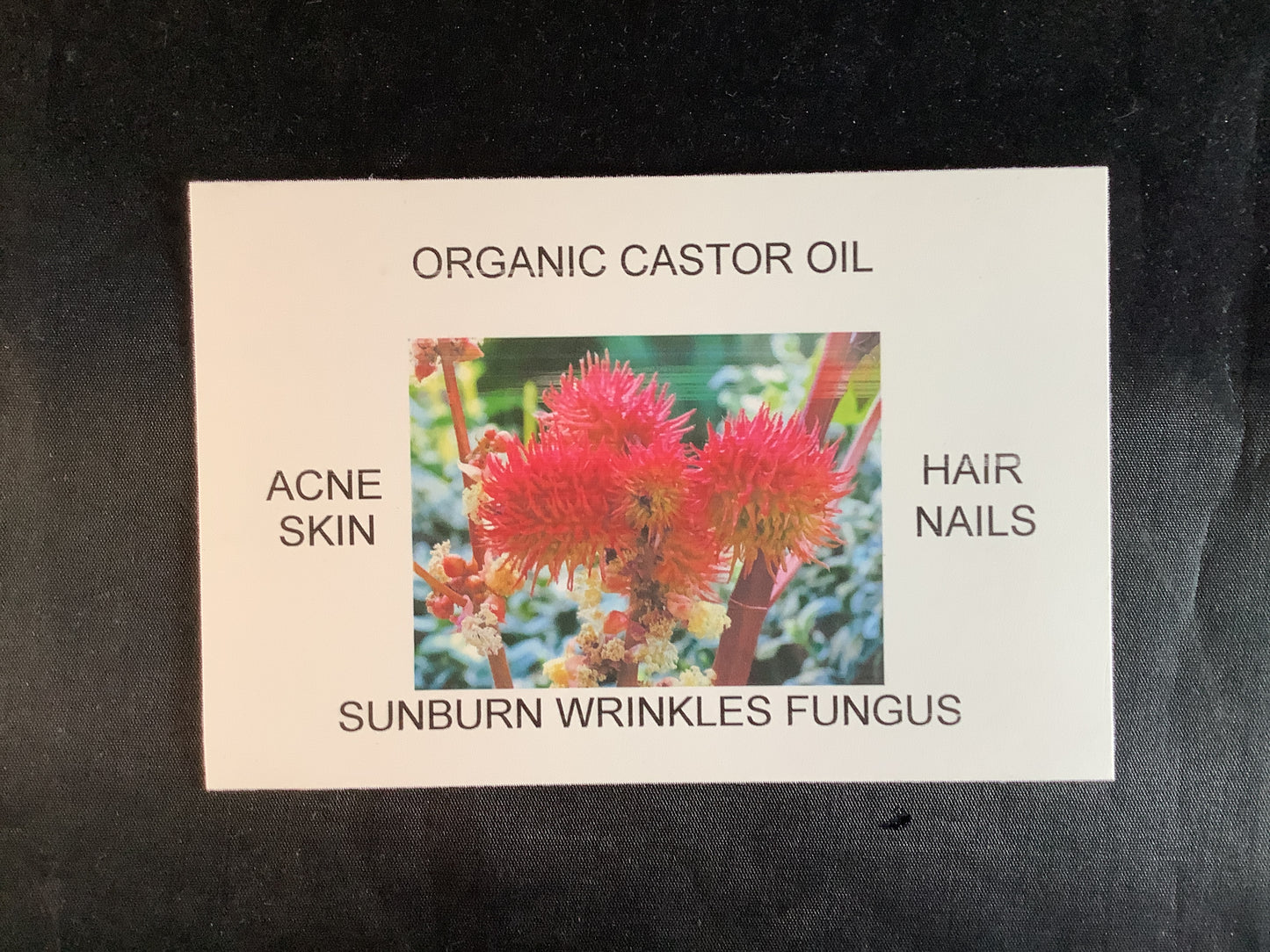 CASTOR OIL ORGANIC 2oz